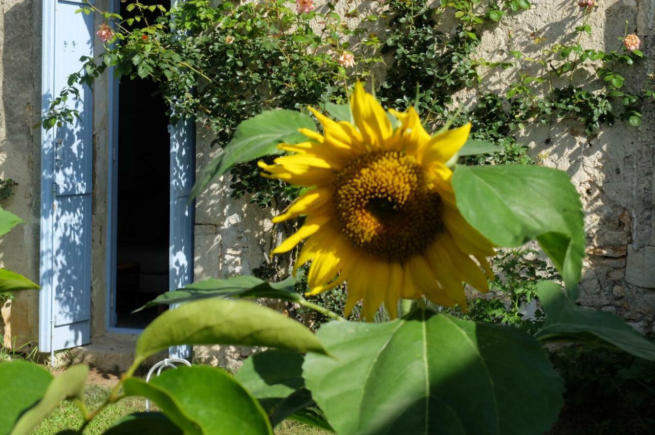 Chambres D'Hotes Dans Maison D'Artiste Galargues 外观 照片