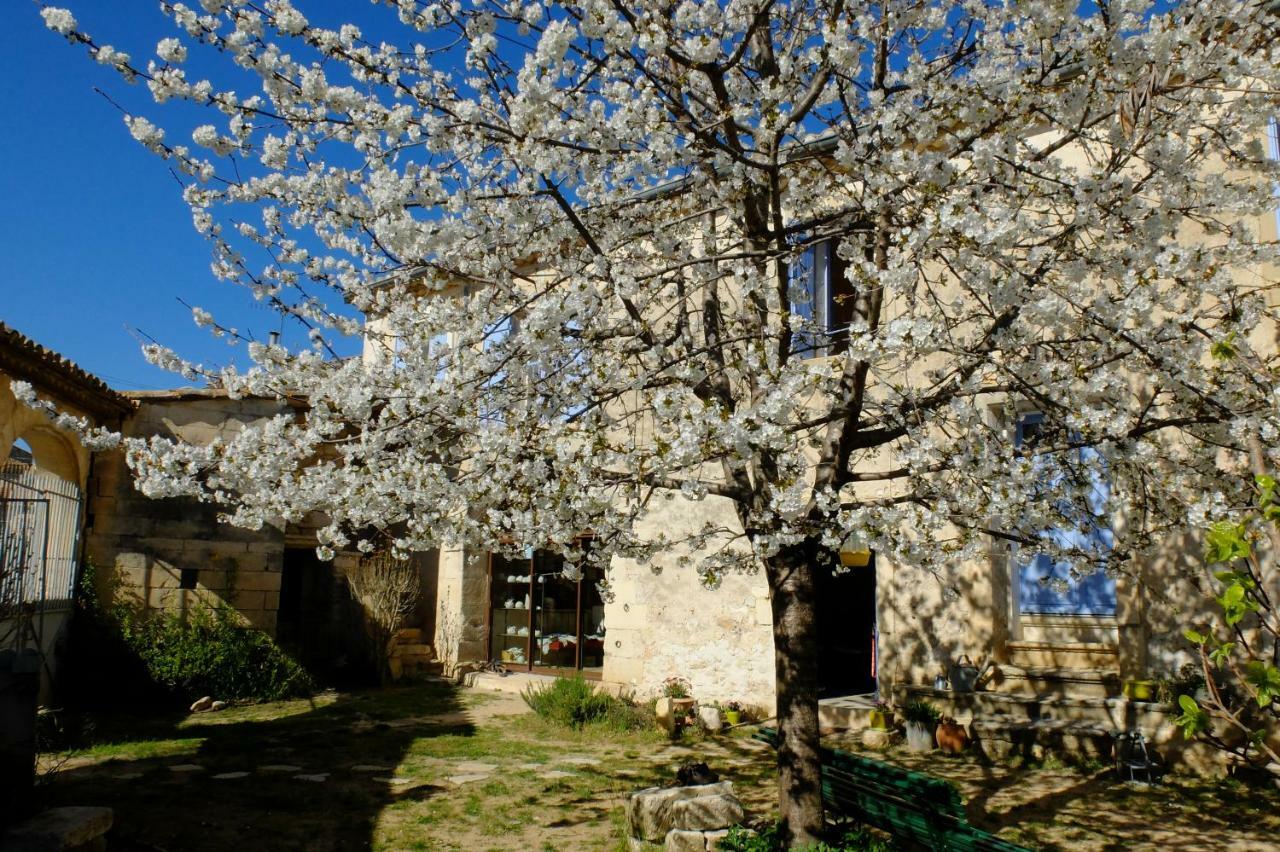 Chambres D'Hotes Dans Maison D'Artiste Galargues 外观 照片