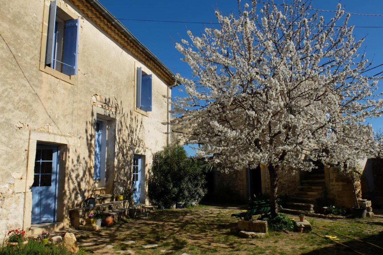 Chambres D'Hotes Dans Maison D'Artiste Galargues 外观 照片